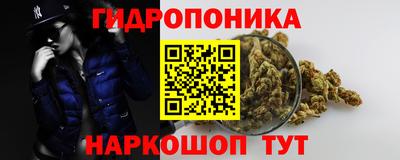 круглые Бердск