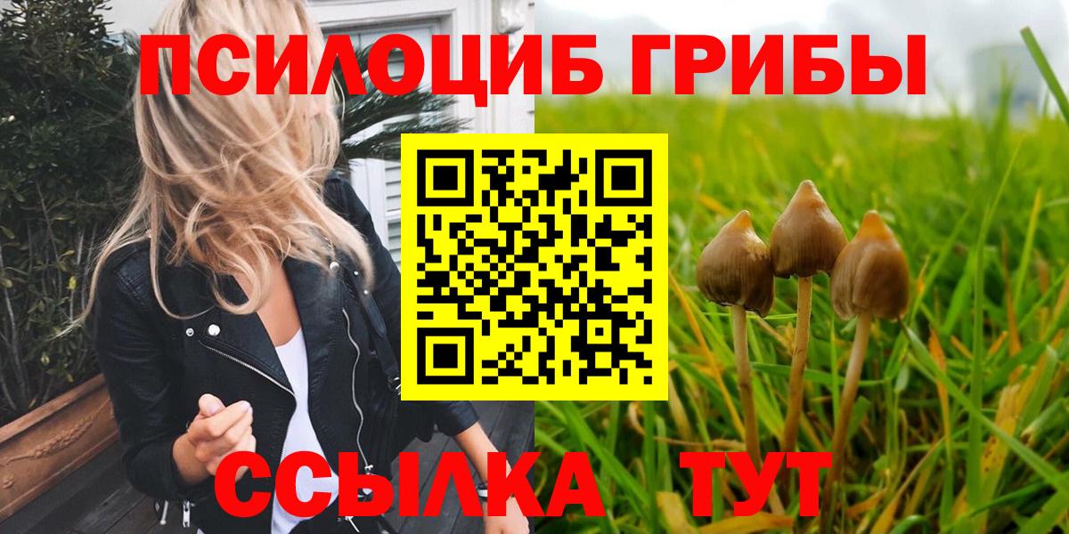 Галлюциногенные грибы Cubensis  Вход с VPN  Корсаков  Галлюциногенные грибы мухоморы 