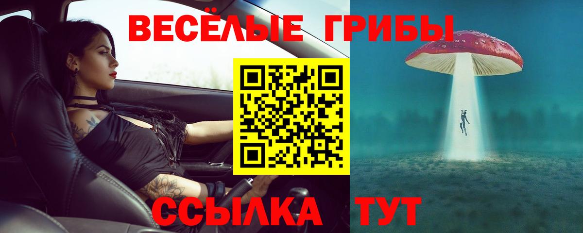 Псилоцибиновые грибы ЛСД Корсаков